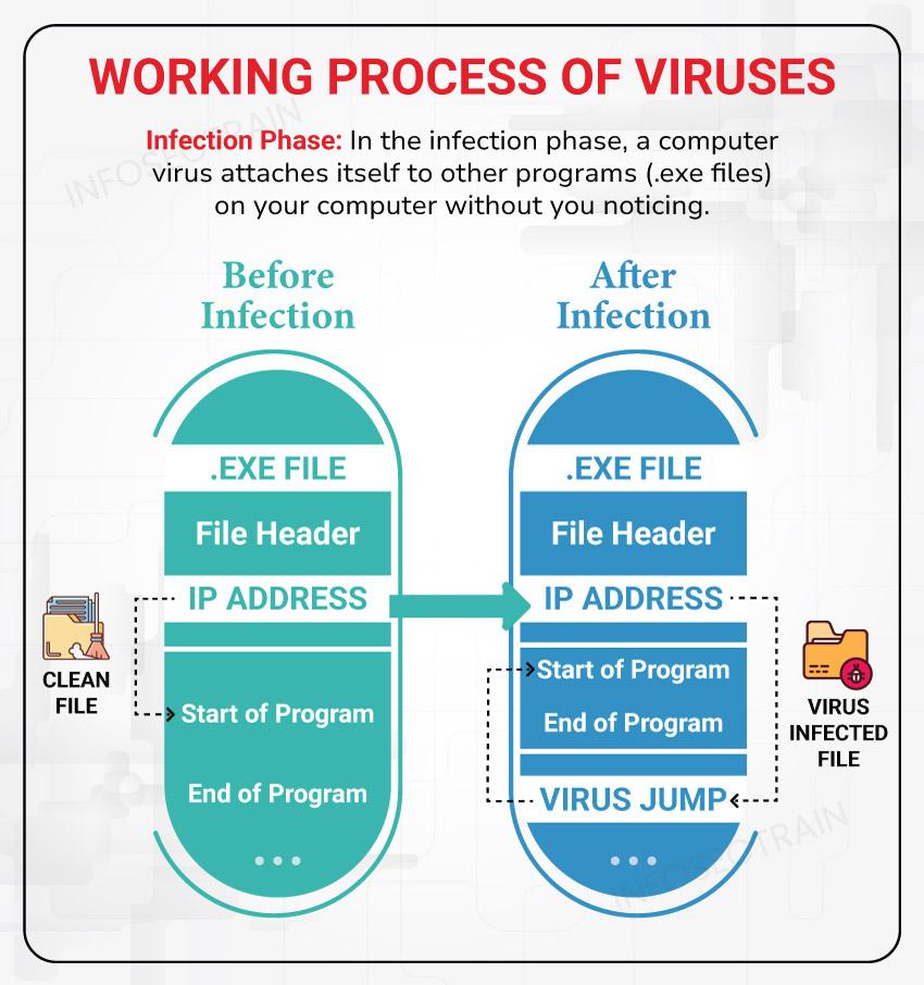 diagram of computer virus structure showing infection mechanism, payload, trigger